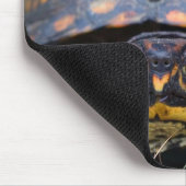 アメリカハコガメ マウスパッド (コーナー)