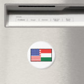 アメリカハンガリー マグネット (インサイチュ (食洗機))