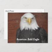 アメリカハングルイーグルドゥブケアイオワキープサケ ポストカード (正面/裏面)