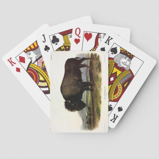 アメリカバイソンまたはバッファロー（バイソンバイソン） - Audubon トランプ (裏面)