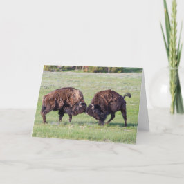 アメリカバイソン折り畳みグリーティングカード カード