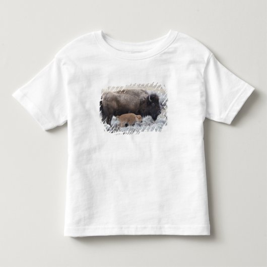 アメリカバイソン親子、イエローストーン トドラーTシャツ (正面)