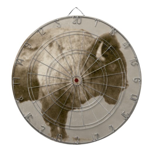 アメリカバイソン ダーツボード (正面)