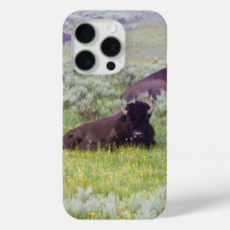 アメリカバイソン ドリーム スマホ ウォレット iPhone 15 PROケース