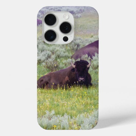 アメリカバイソン ドリーム スマホ ウォレット Case-Mate iPhoneケース (裏面)