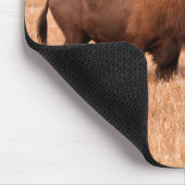 アメリカバイソン（バイソンバイソン）牛と子牛 マウスパッド (コーナー)