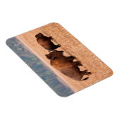 アメリカバイソン(バイソンバイソン)牛と子牛 マグネット (右側)