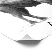 アメリカバイソン フォトプリント            (角)