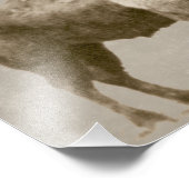 アメリカバイソン フォトプリント            (角)