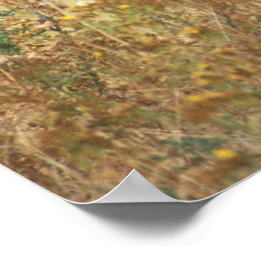 アメリカバイソン ポスター (角)