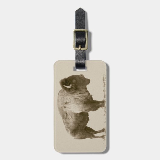 アメリカバイソン ラゲッジタグ (正面縦)