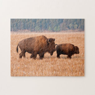 アメリカバイソン（Bison Bison）の母と子 ジグソーパズル