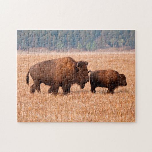 アメリカバイソン(Bison Bison)の母と子 ジグソーパズル (横)