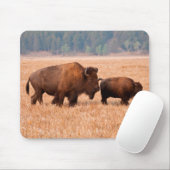 アメリカバイソン(Bison bison)の母子 マウスパッド (マウス)