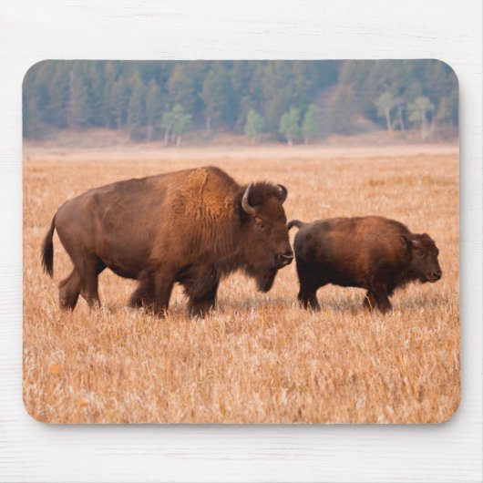 アメリカバイソン(Bison bison)の母子 マウスパッド (正面)