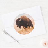 アメリカバイソン (Bison Bison) の群れ テトンにて 2 ラウンドシール (封筒)