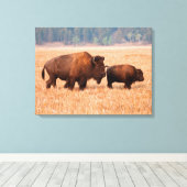 アメリカバイソン（Bison Bison）母子 キャンバスプリント (インサイチュ (ウッドフロア))