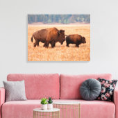 アメリカバイソン（Bison Bison）母子 キャンバスプリント (インサイチュ (リビング))