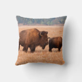 アメリカバイソン (Bison Bison) 雌と子 クッション (裏面)