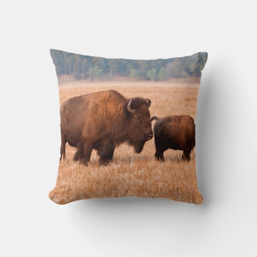 アメリカバイソン (Bison Bison) 雌と子 クッション (正面)