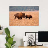 アメリカバイソン (Bison Bison) 雌と子 ポスター (ホームオフィス)