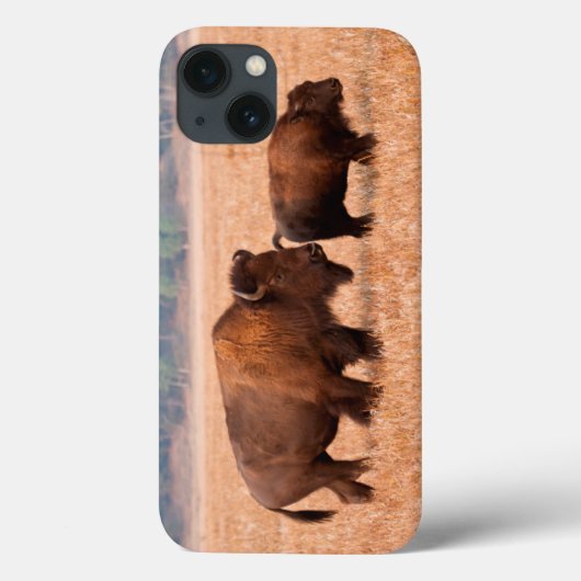 アメリカバイソン (Bison bison) 雌と子 Case-Mate iPhoneケース (裏面)