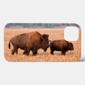 アメリカバイソン (Bison bison) 雌と子 Case-Mate iPhoneケース (裏面 (横))