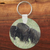 アメリカバッファロー キーホルダー (正面)