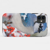 アメリカヒイラギのブルージェイ Case-Mate iPhoneケース (裏面(横))