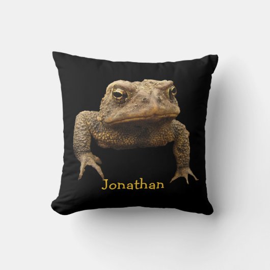 アメリカヒキガエル クッション (正面)
