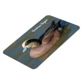 アメリカヒドリ マグネット (左側)