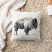 アメリカビジョンの歴史的写真 クッション (ブランケット)