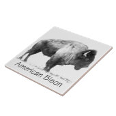 アメリカビソン タイル (側面)