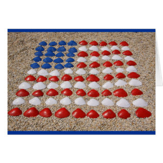 アメリカビーチシーシェル