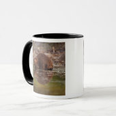 アメリカビーバー, Castor canadensis, の水泳 マグカップ (正面左)