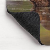 アメリカビーバー、Castor canadensis、水泳 マウスパッド (コーナー)
