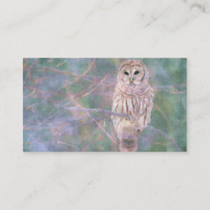 アメリカフクロウのパステルOilpainting 名刺