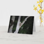 アメリカフクロウの挨拶状、ブランク中 カード (黄色い花)