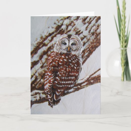 アメリカフクロウの挨拶状-ブランク中 カード (正面)