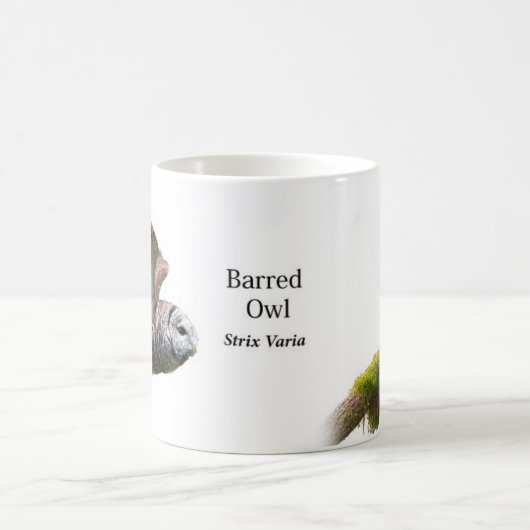 アメリカフクロウの溝彫りのvaria コーヒーマグカップ (中央)