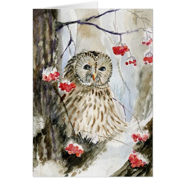 アメリカフクロウの雪の冬 (正面)
