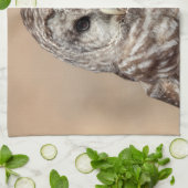 アメリカフクロウ キッチンタオル (折り畳み)