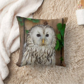 アメリカフクロウ クッション (ブランケット)