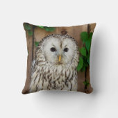 アメリカフクロウ クッション (裏面)