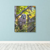 アメリカフクロウ(Barred Owl)秋の姿 | ミシガン州アルジャー郡 キャンバスプリント (インサイチュ (ウッドフロア))