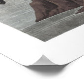 アメリカフラミンゴイラストレーションポスター ポスター (角)