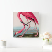 アメリカフラミンゴバードズオブアメリカオードゥボンプリント スクエア壁時計 (ホーム)