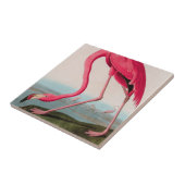 アメリカフラミンゴバードズオブアメリカオードゥボンプリント タイル (側面)