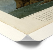 アメリカフラミンゴ ポスター (角)