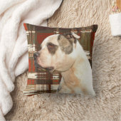 アメリカブルドッグ枕 クッション (ブランケット)